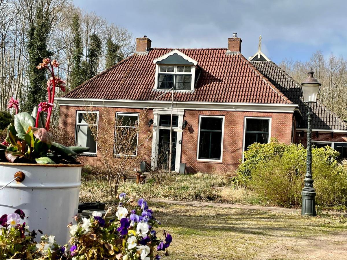 Bed and Breakfast D'Alde Pastorije Hornsterzwaag Exteriér fotografie